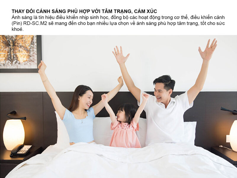 Bảng điều khiển cảnh (Pin)   RD-SC.M2 - Hình ảnh 2